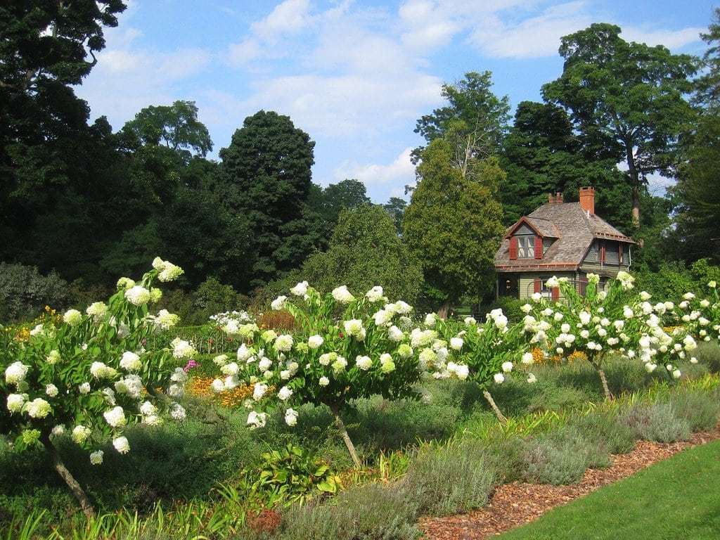Comment entretenir un jardin sans effort ?